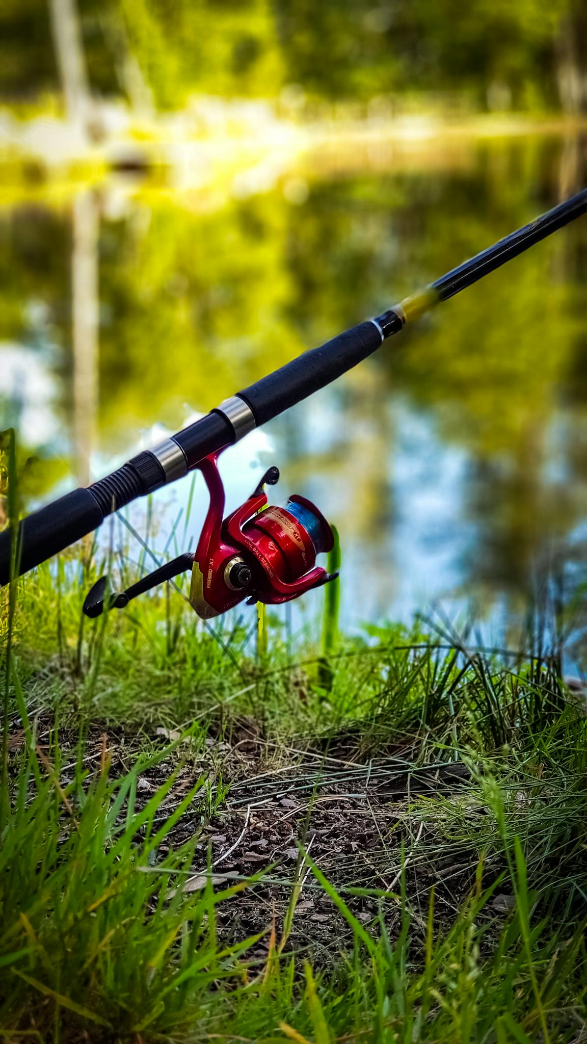 Fishing rod with red reel