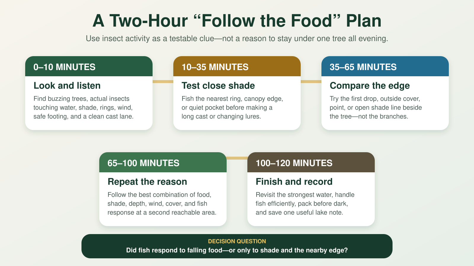 Two-hour late-summer bank-fishing plan using insect activity, shade, nearby depth, and fish response