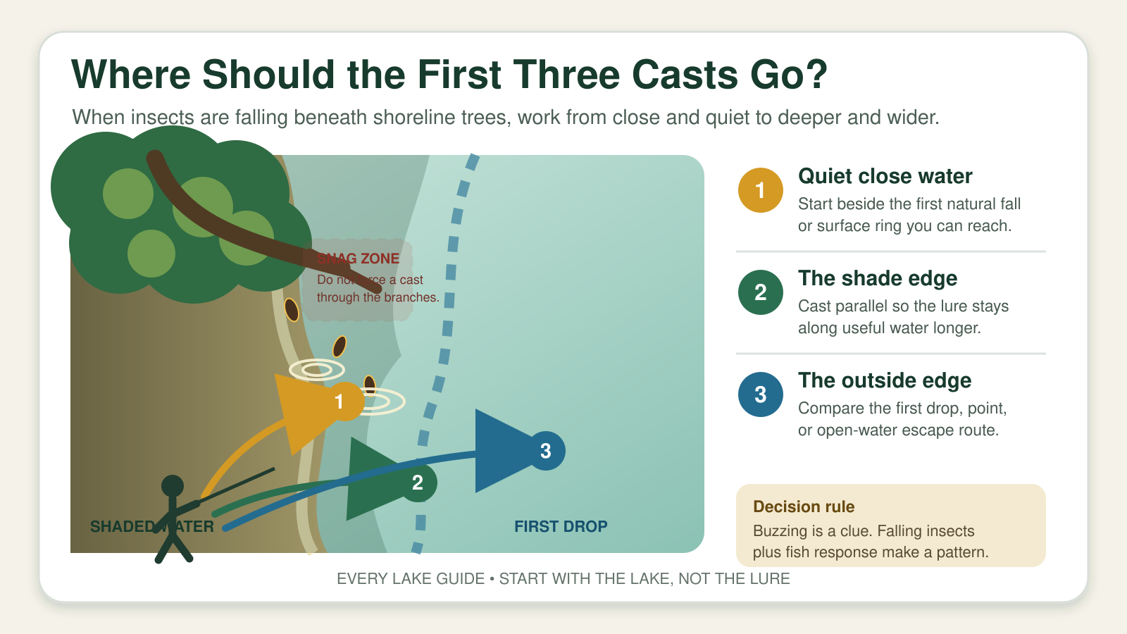 Diagram showing the first three bank-fishing casts beneath cicada trees: quiet close water, the shade edge, and the first drop-off
